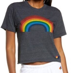 Aviator Nation Grey Boyfriend Tee With Rainboww